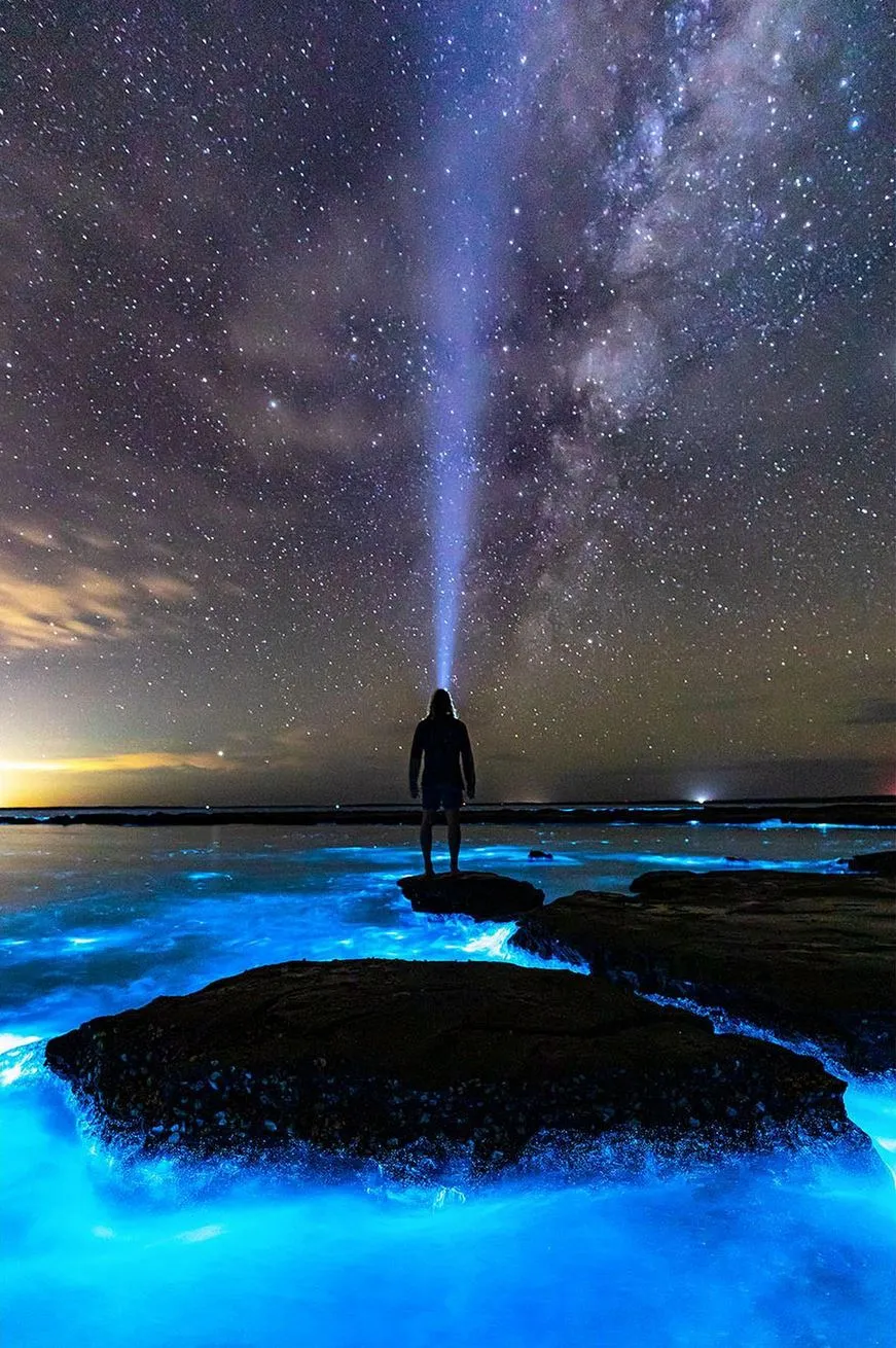 keeperoftheforce | Bioluminescence at Ningaloo Reef: Best Viewing & Tours