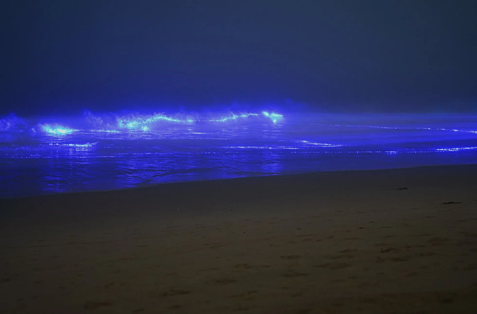 The Bioluminescence, Ningaloo Reef