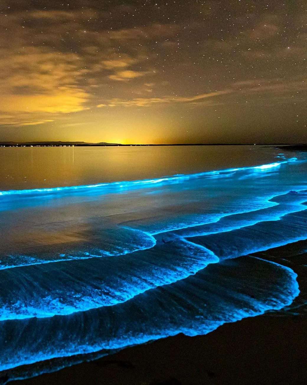 keeperoftheforce | Bioluminescence at Ningaloo Reef: Best Viewing & Tours