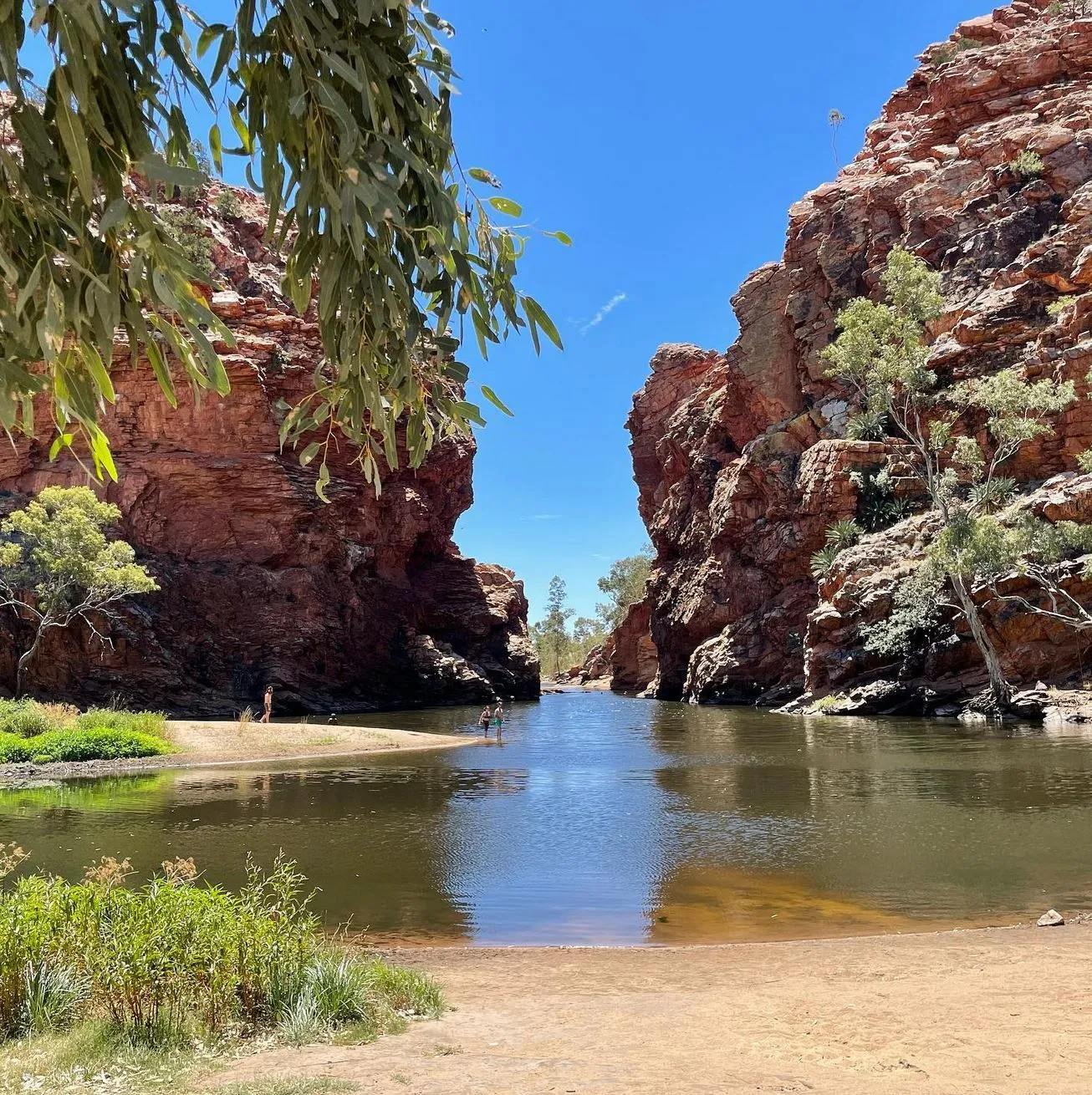 keeperoftheforce | Can You Swim on the Larapinta Trail? Find Out Here keeperoftheforce | Can You Swim on the Larapinta Trail? Find Out Here